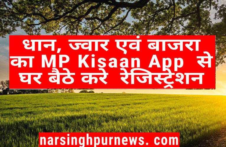 मध्य प्रदेश : धान, ज्वार एवं बाजरा का रेजिस्ट्रेशन mp kishan app से घर बैठे करे