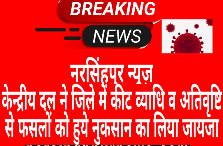 नरसिंहपुर केन्द्रीय दल ने जिले में कीट व्याधि व अतिवृष्टि से फसलों को हुये नुकसान का लिया जायजा