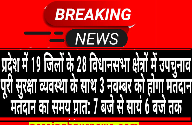 मध्यप्रदेश में 19 जिलों के 28 विधानसभा क्षेत्रों में 3 नवम्बर को होगा मतदान