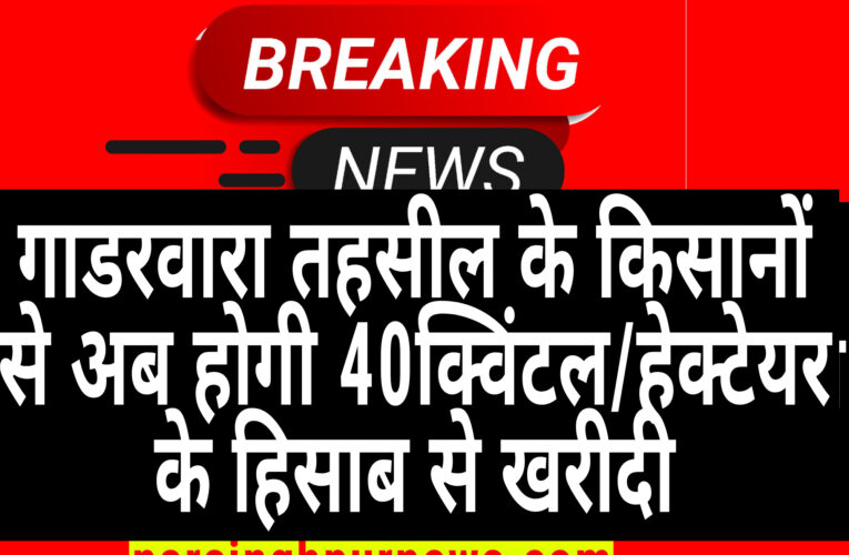 गाडरवारा तहसील के किसानों से अब होगी 40क्विंटल/हेक्टेयर के हिसाब से खरीदी