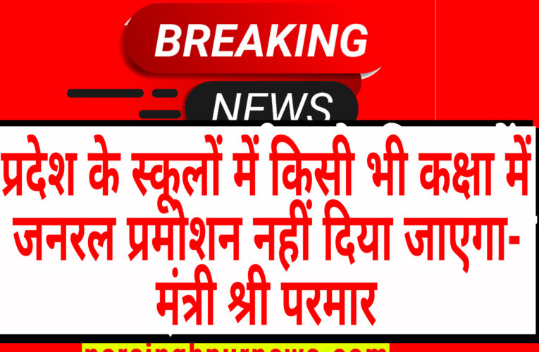 प्रदेश के स्कूलों में किसी भी कक्षा में जनरल प्रमोशन नहीं दिया जाएगा- मंत्री श्री परमार